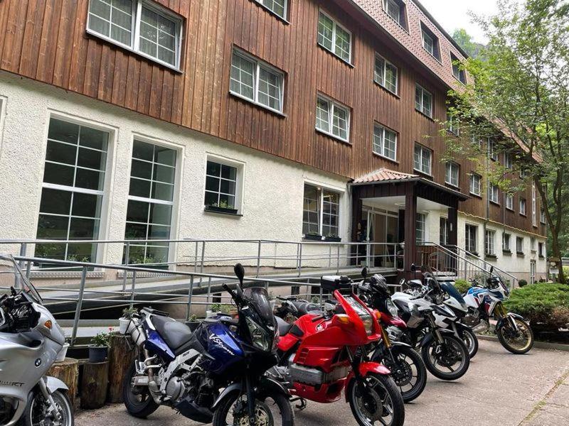 Waldhotel Harz イルセンブルク エクステリア 写真