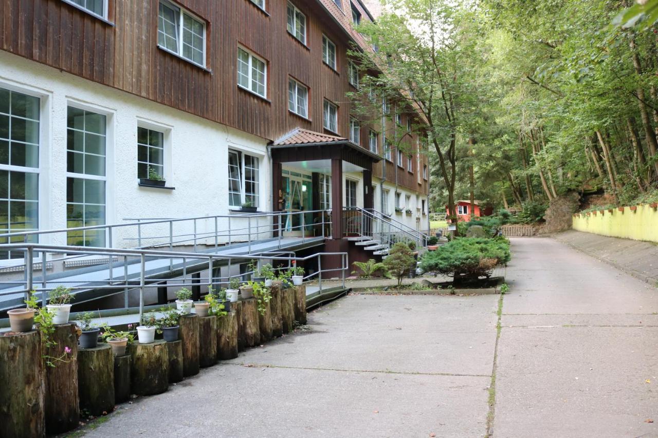 Waldhotel Harz イルセンブルク エクステリア 写真